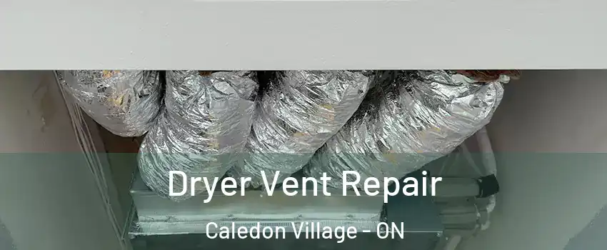  Dryer Vent Repair Caledon Village - ON