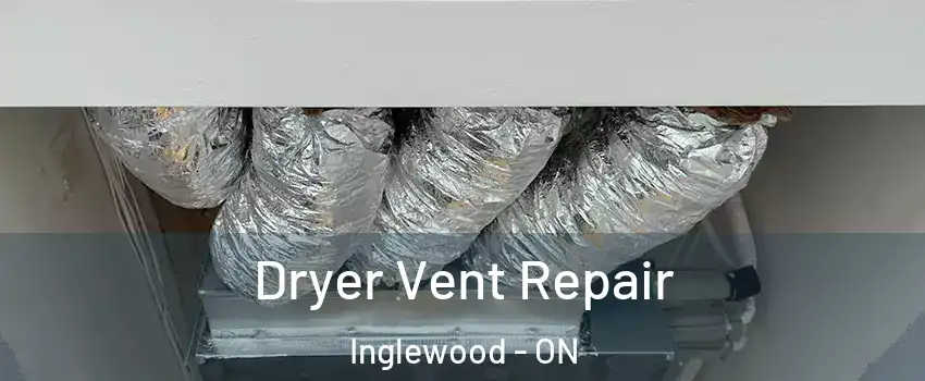  Dryer Vent Repair Inglewood - ON