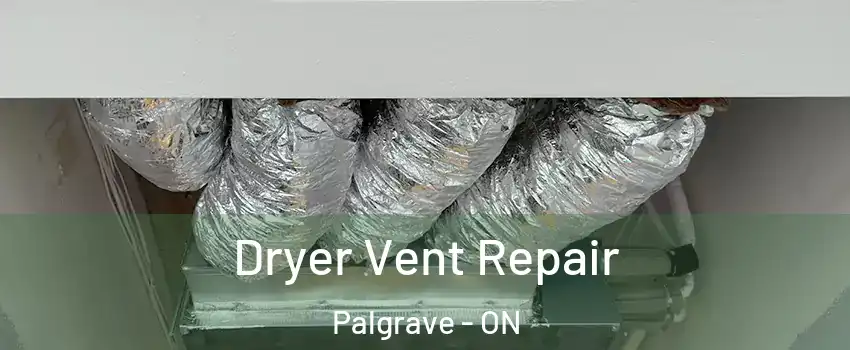  Dryer Vent Repair Palgrave - ON