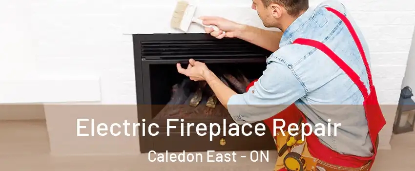  Electric Fireplace Repair Caledon East - ON