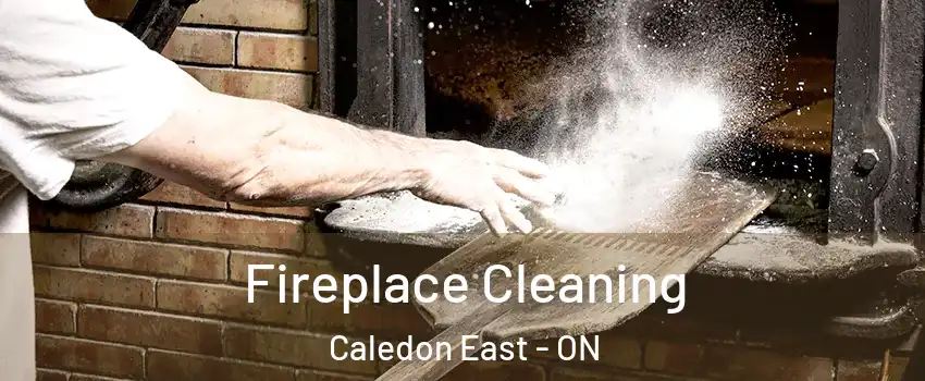 Fireplace Cleaning Caledon East - ON