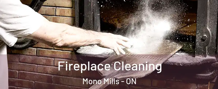  Fireplace Cleaning Mono Mills - ON