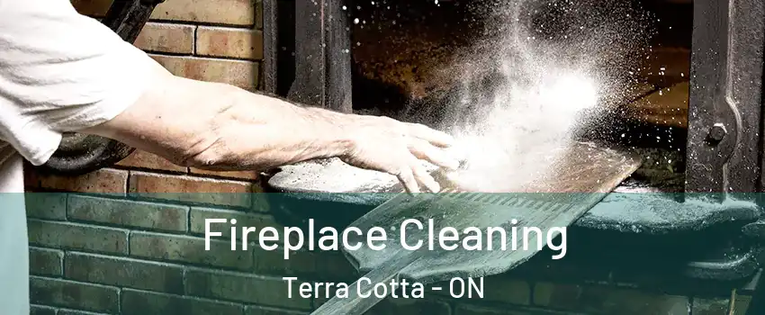 Fireplace Cleaning Terra Cotta - ON