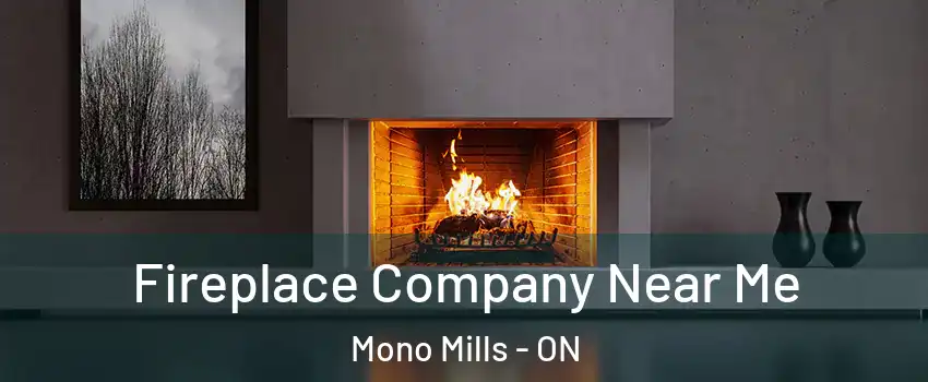 Fireplace Company Near Me Mono Mills - ON