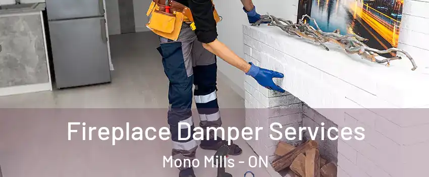  Fireplace Damper Services Mono Mills - ON