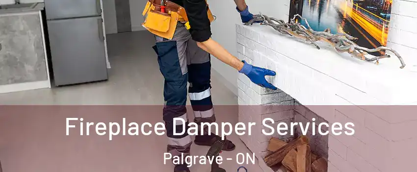  Fireplace Damper Services Palgrave - ON