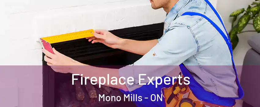 Fireplace Experts Mono Mills - ON