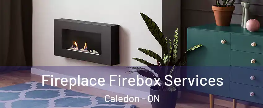  Fireplace Firebox Services Caledon - ON