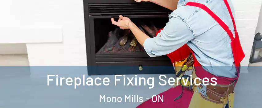 Fireplace Fixing Services Mono Mills - ON