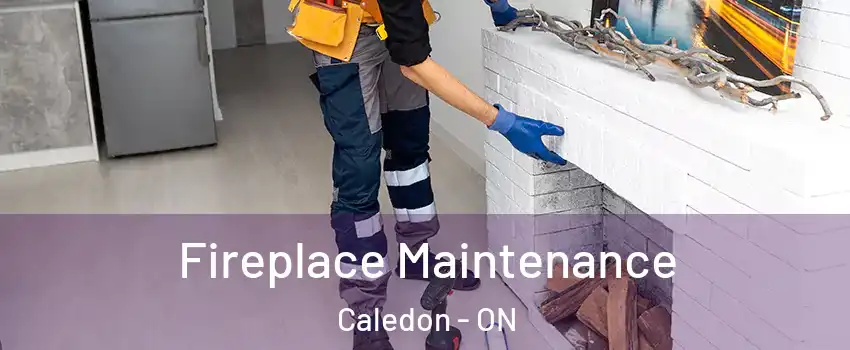  Fireplace Maintenance Caledon - ON
