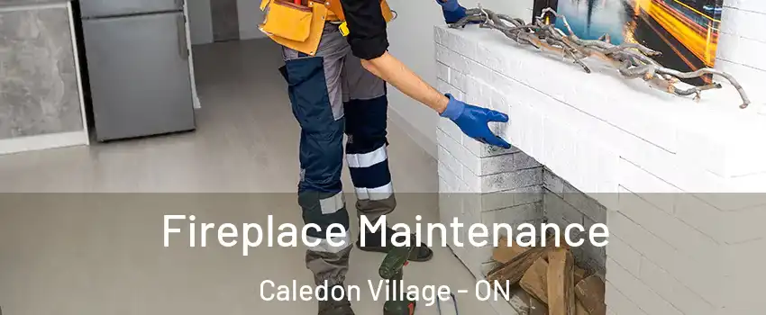  Fireplace Maintenance Caledon Village - ON