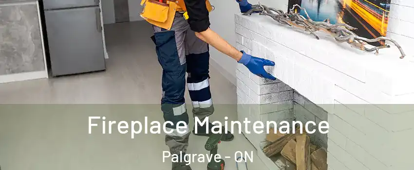 Fireplace Maintenance Palgrave - ON