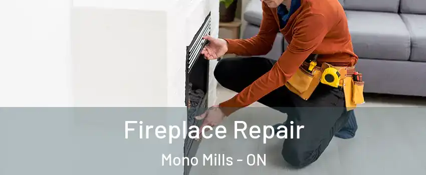  Fireplace Repair Mono Mills - ON