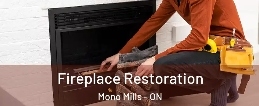  Fireplace Restoration Mono Mills - ON