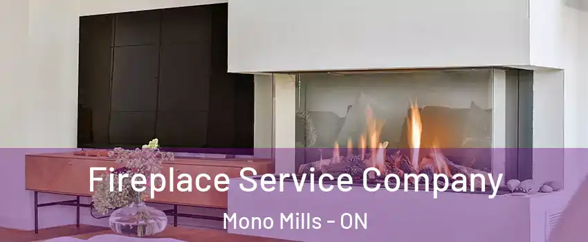 Fireplace Service Company Mono Mills - ON