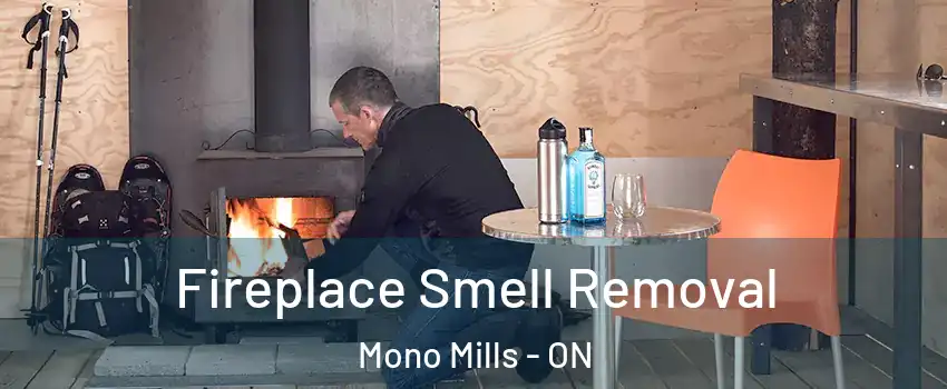  Fireplace Smell Removal Mono Mills - ON