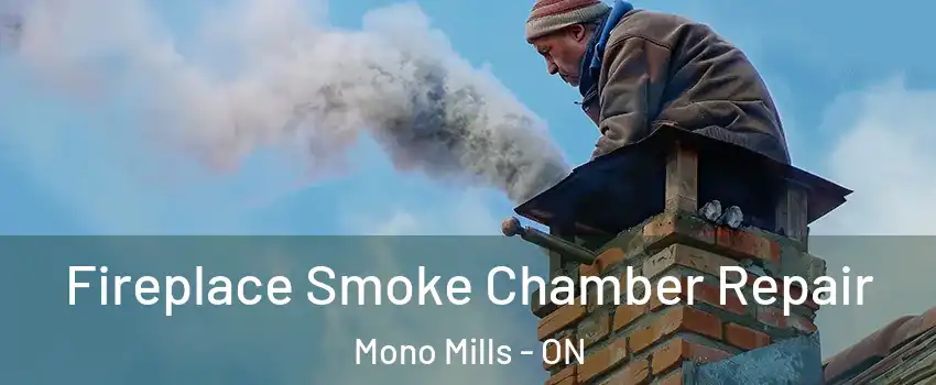  Fireplace Smoke Chamber Repair Mono Mills - ON