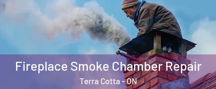  Fireplace Smoke Chamber Repair Terra Cotta - ON