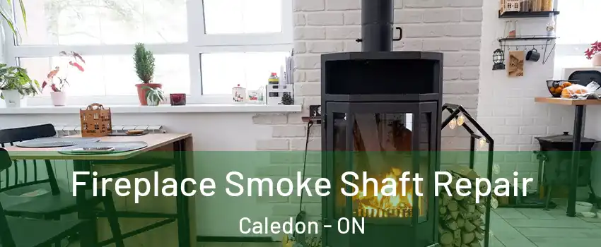 Fireplace Smoke Shaft Repair Caledon - ON
