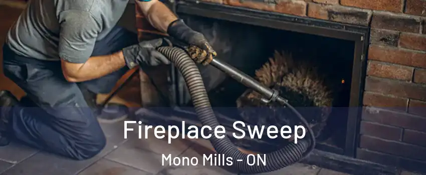 Fireplace Sweep Mono Mills - ON