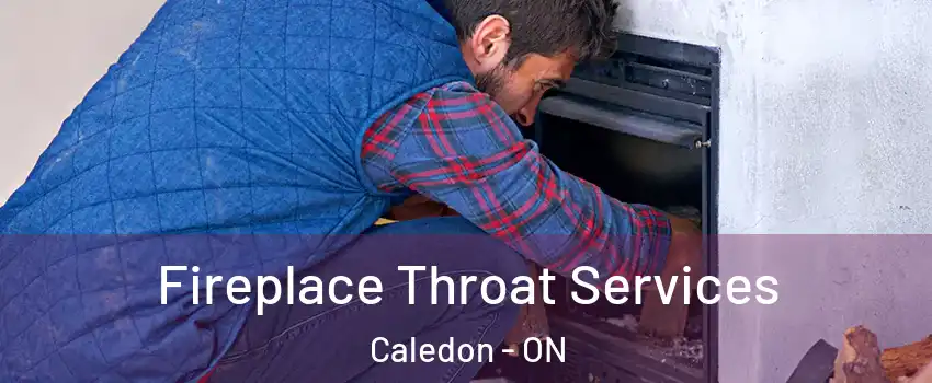  Fireplace Throat Services Caledon - ON