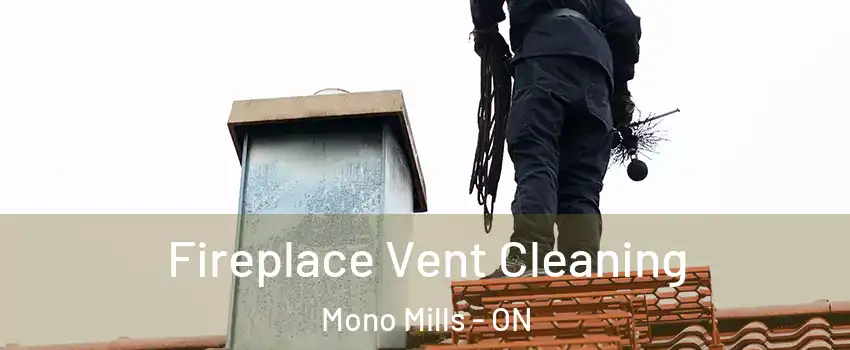  Fireplace Vent Cleaning Mono Mills - ON