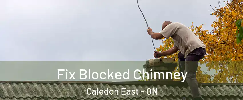  Fix Blocked Chimney Caledon East - ON