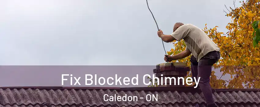  Fix Blocked Chimney Caledon - ON