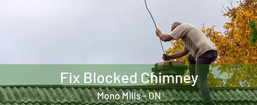  Fix Blocked Chimney Mono Mills - ON