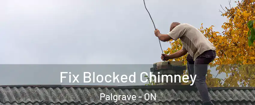  Fix Blocked Chimney Palgrave - ON
