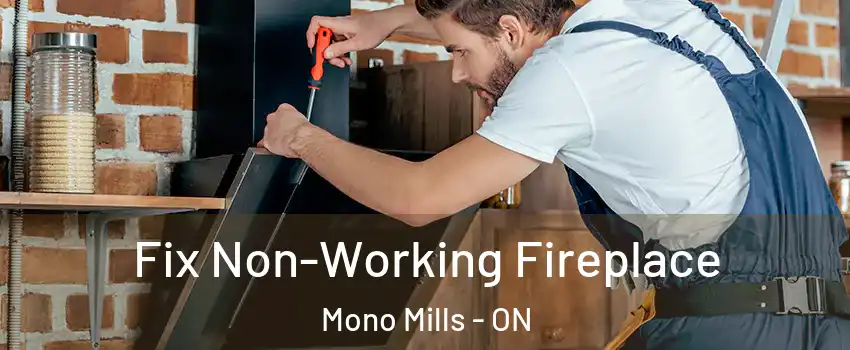  Fix Non-Working Fireplace Mono Mills - ON