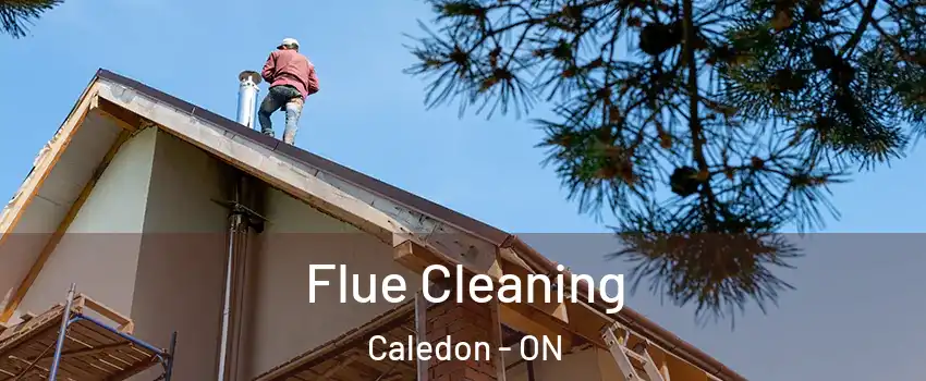  Flue Cleaning Caledon - ON