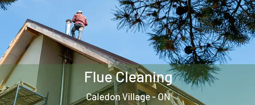 Flue Cleaning Caledon Village - ON
