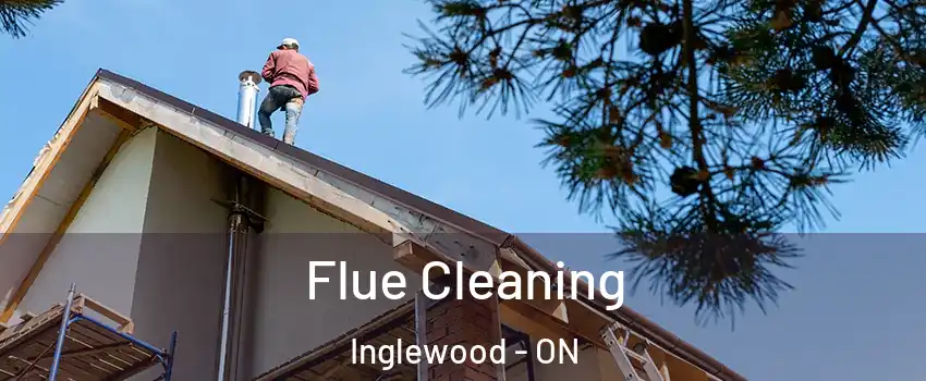  Flue Cleaning Inglewood - ON