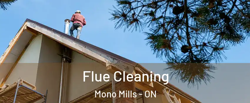 Flue Cleaning Mono Mills - ON