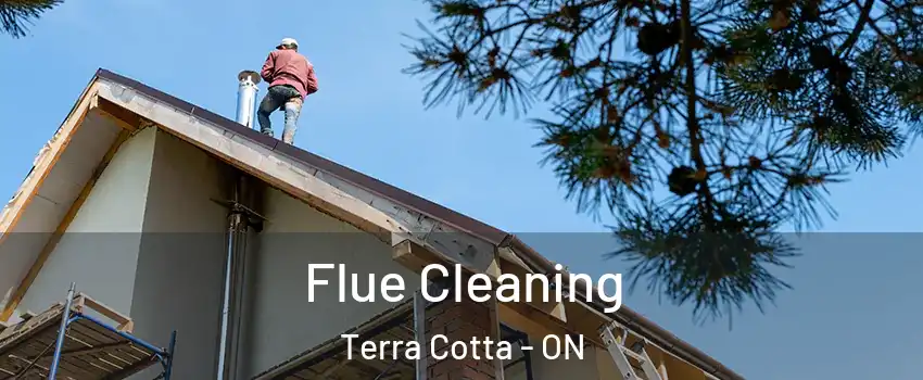 Flue Cleaning Terra Cotta - ON