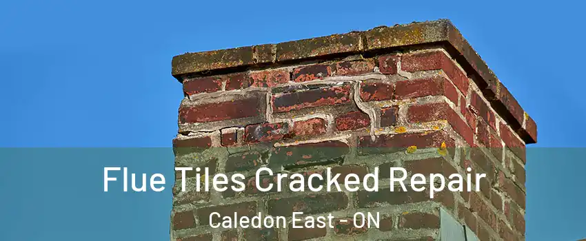  Flue Tiles Cracked Repair Caledon East - ON