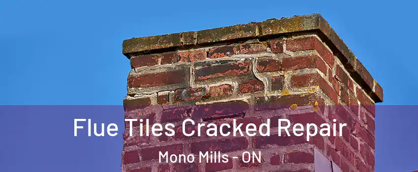  Flue Tiles Cracked Repair Mono Mills - ON