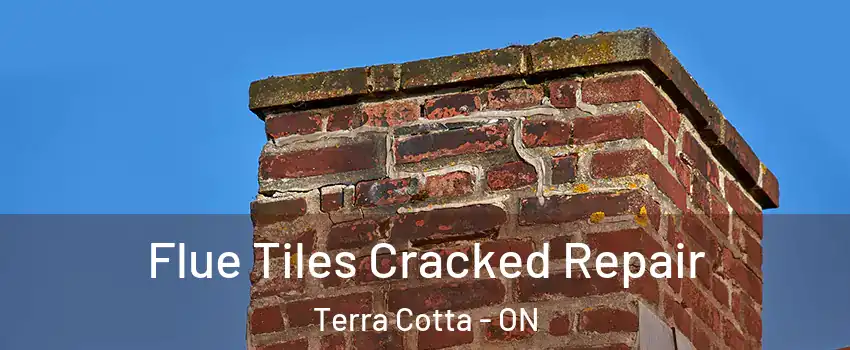  Flue Tiles Cracked Repair Terra Cotta - ON