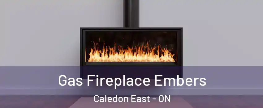  Gas Fireplace Embers Caledon East - ON