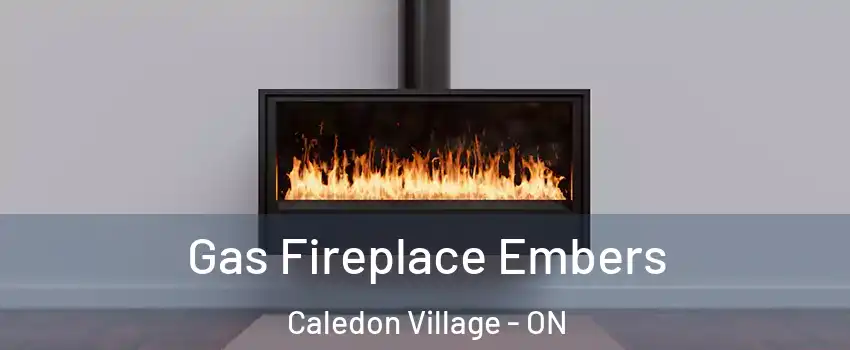  Gas Fireplace Embers Caledon Village - ON