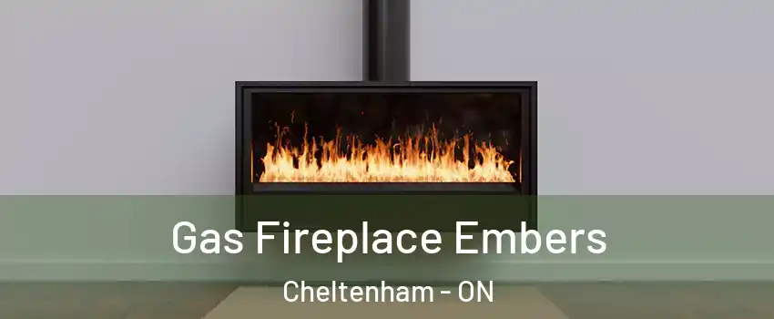  Gas Fireplace Embers Cheltenham - ON