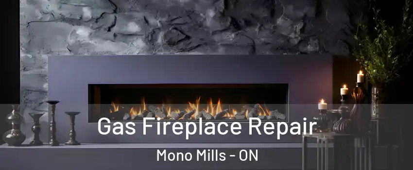  Gas Fireplace Repair Mono Mills - ON