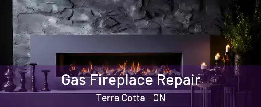  Gas Fireplace Repair Terra Cotta - ON