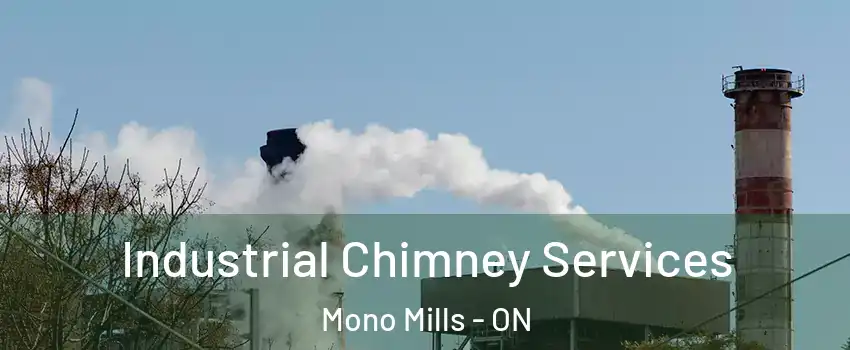  Industrial Chimney Services Mono Mills - ON
