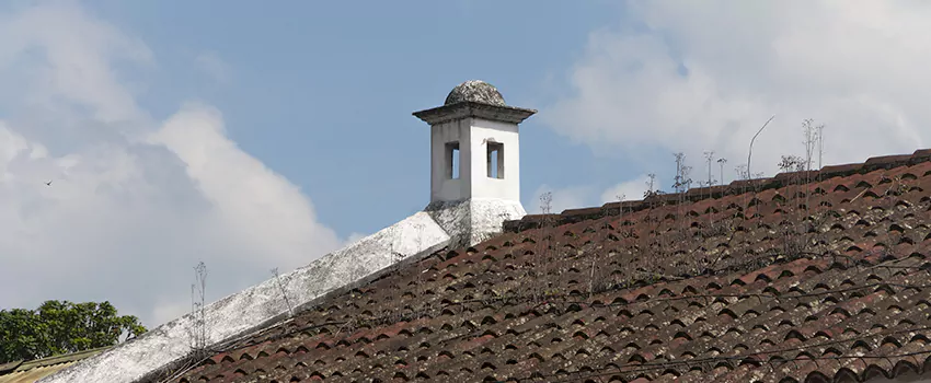 Wind-Resistant Chimney Caps Installation and Repair Services in Caledon, Ontario