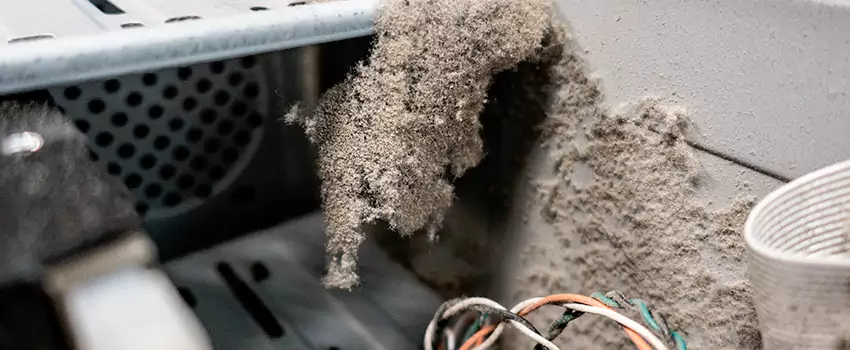 Clogged Dryer Vent Lint Cleaning in Caledon, Ontario