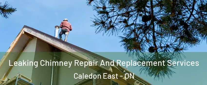  Leaking Chimney Repair And Replacement Services Caledon East - ON