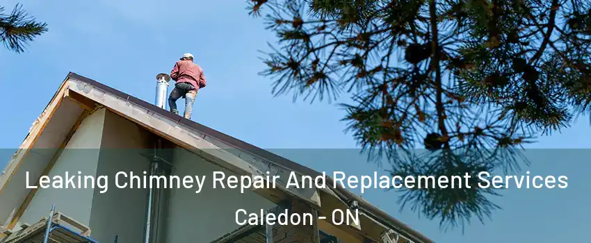  Leaking Chimney Repair And Replacement Services Caledon - ON