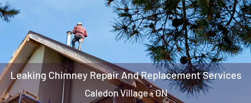 Leaking Chimney Repair And Replacement Services Caledon Village - ON
